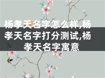 杨孝天名字怎么样,杨孝天名字打分测试,杨孝天名字寓意