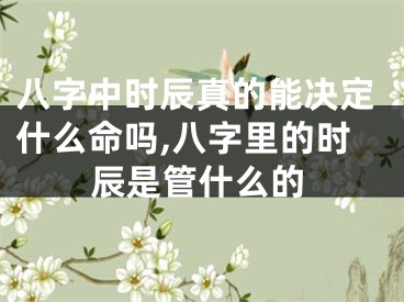 八字中时辰真的能决定什么命吗,八字里的时辰是管什么的