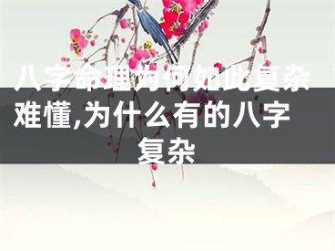 八字命理为何如此复杂难懂,为什么有的八字复杂