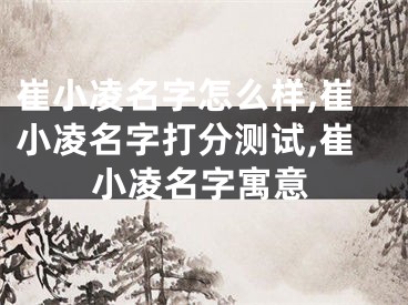 崔小凌名字怎么样,崔小凌名字打分测试,崔小凌名字寓意