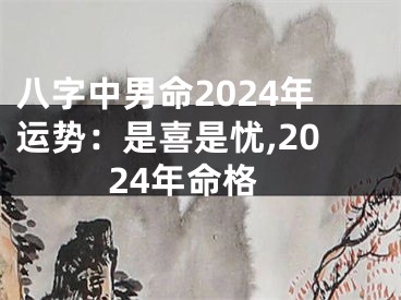 八字中男命2024年运势：是喜是忧,2024年命格