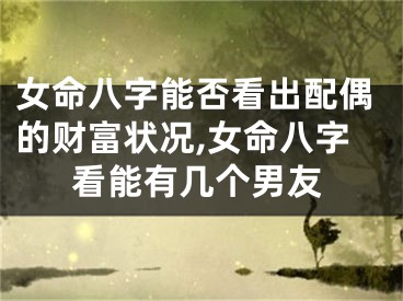 女命八字能否看出配偶的财富状况,女命八字看能有几个男友