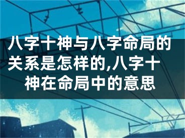 八字十神与八字命局的关系是怎样的,八字十神在命局中的意思