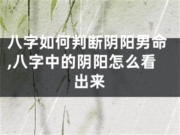 八字如何判断阴阳男命,八字中的阴阳怎么看出来