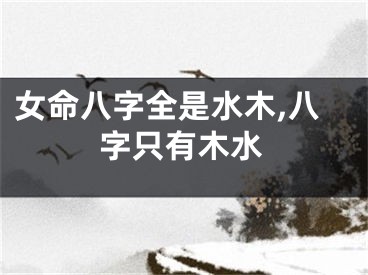 女命八字全是水木,八字只有木水