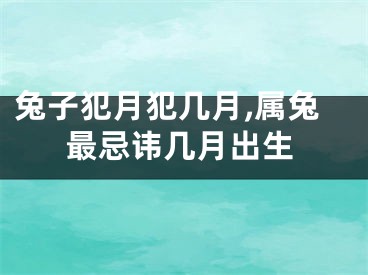 兔子犯月犯几月,属兔最忌讳几月出生