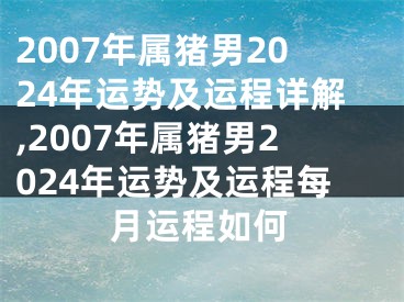 2007年属猪男2024年运势及运程详解,2007年属猪男2024年运势及运程每月运程如何