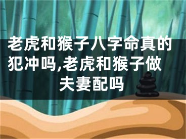 老虎和猴子八字命真的犯冲吗,老虎和猴子做夫妻配吗