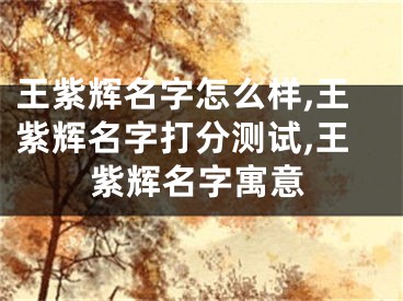 王紫辉名字怎么样,王紫辉名字打分测试,王紫辉名字寓意
