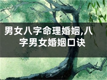 男女八字命理婚姻,八字男女婚姻口诀