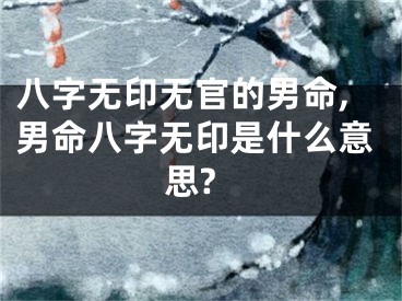 八字无印无官的男命,男命八字无印是什么意思?
