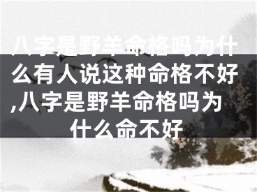 八字是野羊命格吗为什么有人说这种命格不好,八字是野羊命格吗为什么命不好