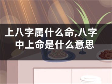上八字属什么命,八字中上命是什么意思
