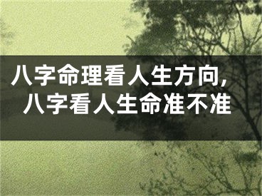 八字命理看人生方向,八字看人生命准不准