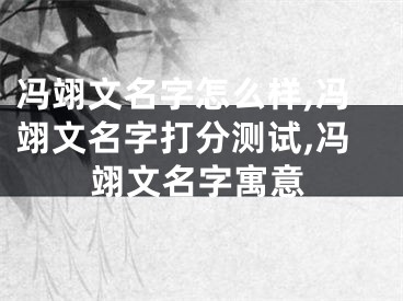 冯翊文名字怎么样,冯翊文名字打分测试,冯翊文名字寓意
