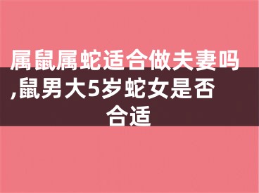 属鼠属蛇适合做夫妻吗,鼠男大5岁蛇女是否合适