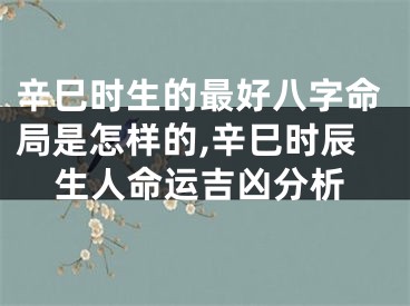 辛巳时生的最好八字命局是怎样的,辛巳时辰生人命运吉凶分析