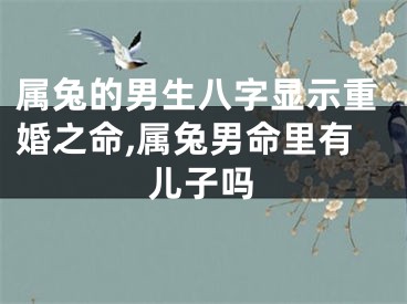 属兔的男生八字显示重婚之命,属兔男命里有儿子吗