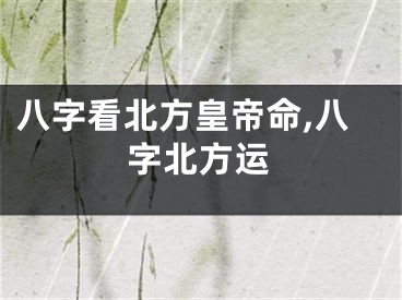 八字看北方皇帝命,八字北方运