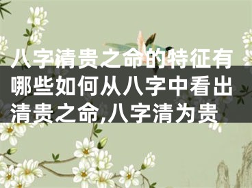 八字清贵之命的特征有哪些如何从八字中看出清贵之命,八字清为贵