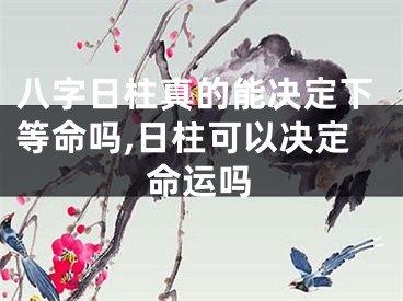 八字日柱真的能决定下等命吗,日柱可以决定命运吗