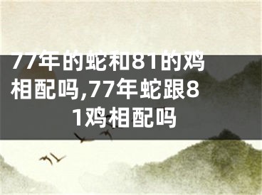 77年的蛇和81的鸡相配吗,77年蛇跟81鸡相配吗