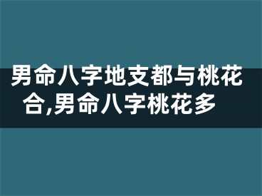 男命八字地支都与桃花合,男命八字桃花多