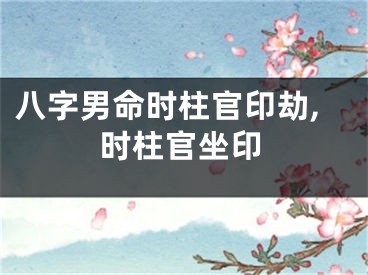 八字男命时柱官印劫,时柱官坐印