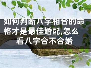 如何判断八字相合的命格才是最佳婚配,怎么看八字合不合婚