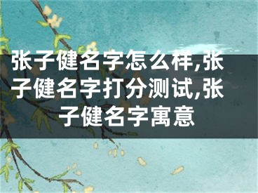 张子健名字怎么样,张子健名字打分测试,张子健名字寓意