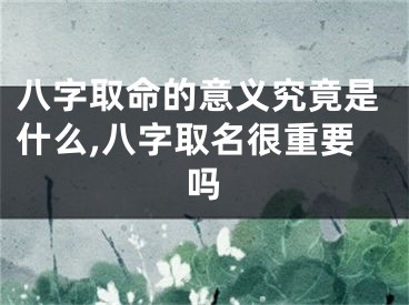 八字取命的意义究竟是什么,八字取名很重要吗