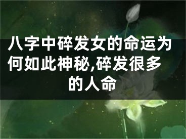 八字中碎发女的命运为何如此神秘,碎发很多的人命