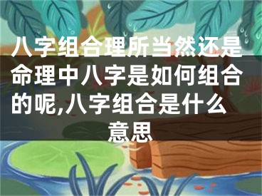 八字组合理所当然还是命理中八字是如何组合的呢,八字组合是什么意思
