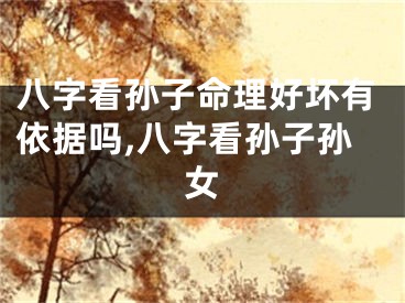 八字看孙子命理好坏有依据吗,八字看孙子孙女