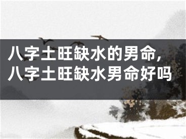 八字土旺缺水的男命,八字土旺缺水男命好吗