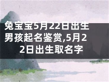 兔宝宝5月22日出生男孩起名鉴赏,5月22日出生取名字