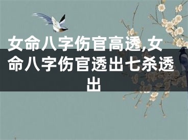 女命八字伤官高透,女命八字伤官透出七杀透出