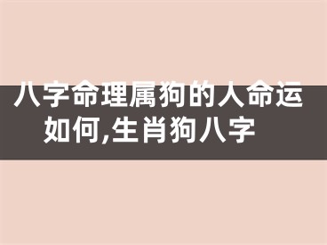 八字命理属狗的人命运如何,生肖狗八字