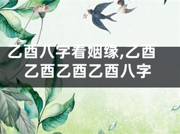 乙酉八字看姻缘,乙酉乙酉乙酉乙酉八字