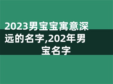 2023男宝宝寓意深远的名字,202年男宝名字