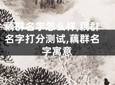 藕群名字怎么样,藕群名字打分测试,藕群名字寓意