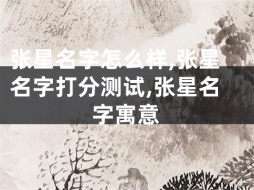 张星名字怎么样,张星名字打分测试,张星名字寓意