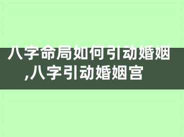 八字命局如何引动婚姻,八字引动婚姻宫