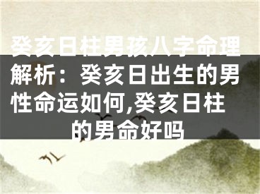 癸亥日柱男孩八字命理解析：癸亥日出生的男性命运如何,癸亥日柱的男命好吗