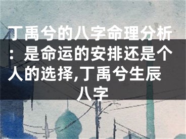 丁禹兮的八字命理分析：是命运的安排还是个人的选择,丁禹兮生辰八字