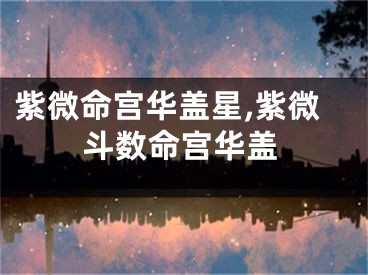 紫微命宫华盖星,紫微斗数命宫华盖