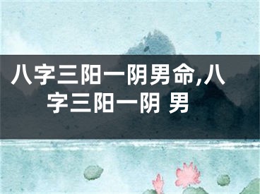 八字三阳一阴男命,八字三阳一阴 男