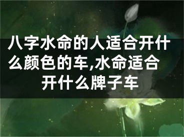 八字水命的人适合开什么颜色的车,水命适合开什么牌子车