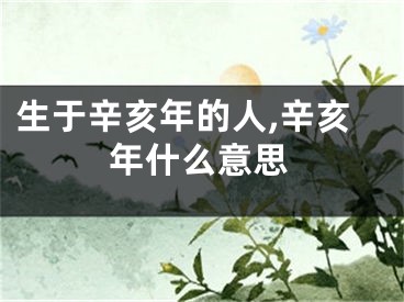 生于辛亥年的人,辛亥年什么意思