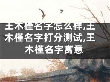 王木槿名字怎么样,王木槿名字打分测试,王木槿名字寓意